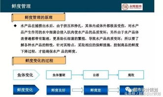 永辉超市水产部营运管理ppt